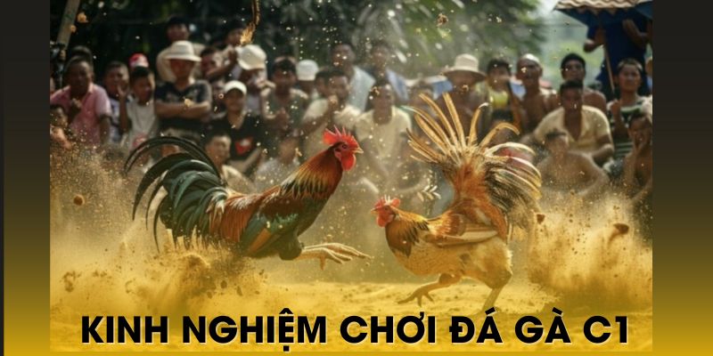 Nắm vững những kinh nghiệm trước khi đặt cược cho trận đấu nào